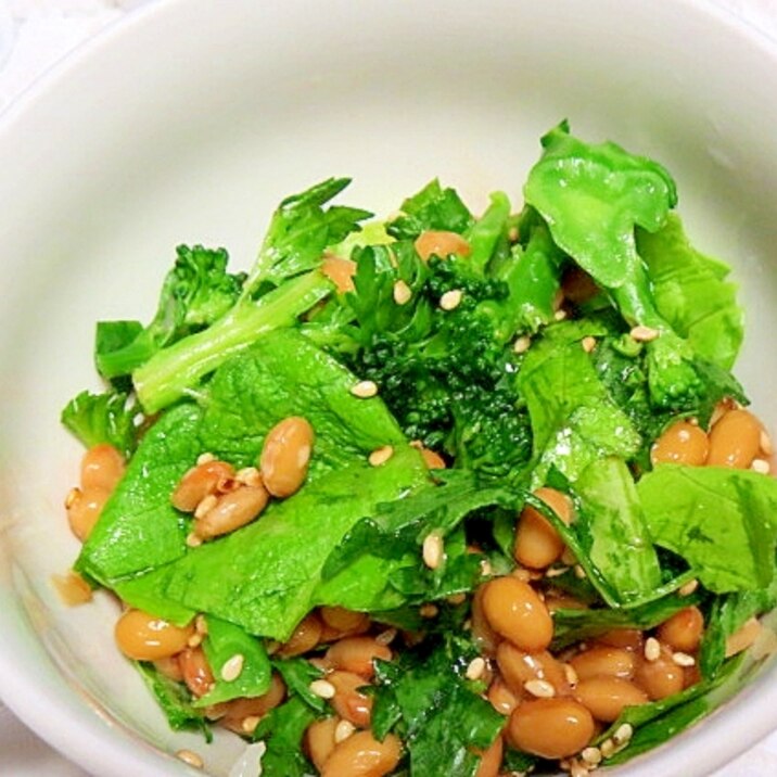 納豆と葉野菜の和風サラダ レシピ 作り方 By Libre 楽天レシピ